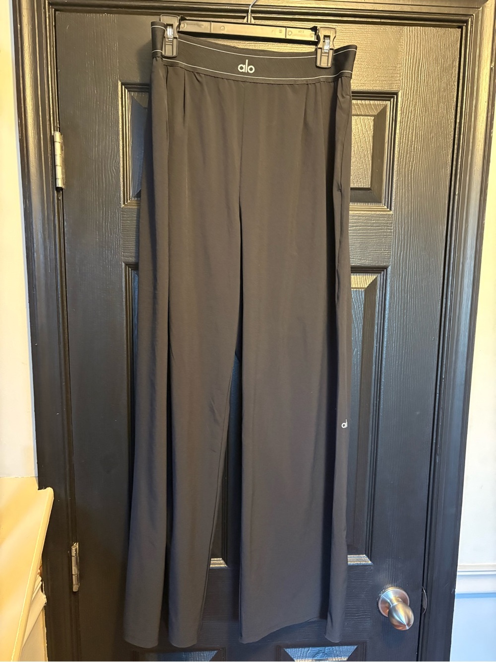 ALO Yoga Wide-Leg High-Rise Pants in Black